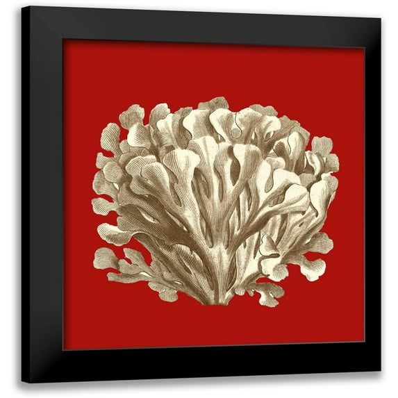 Vision Studio 15x15 Black Modern Framed Museum Art Print Titled - Small Coral on Red III