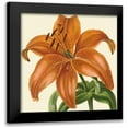 thumbnail image 1 of Vision Studio 15x15 Black Modern Framed Museum Art Print Titled - Tropical Vision IV, 1 of 5