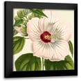 thumbnail image 1 of Vision Studio 15x15 Black Modern Framed Museum Art Print Titled - Tropical Vision I, 1 of 5