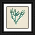 thumbnail image 1 of Vision Studio 15x15 Black Ornate Wood Framed with Double Matting Museum Art Print Titled - Chromatic Seaweed III, 1 of 4