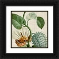 thumbnail image 1 of Vision Studio 15x15 Black Ornate Wood Framed with Double Matting Museum Art Print Titled - Cropped Turpin Tropicals II, 1 of 4