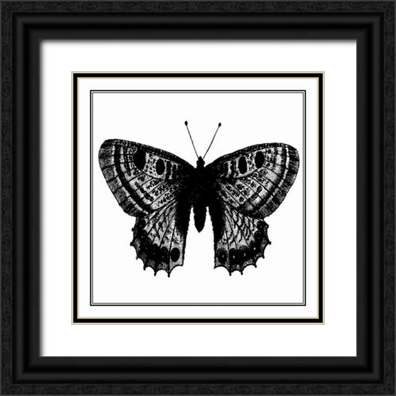Vision Studio 15x15 Black Ornate Wood Framed with Double Matting Museum Art Print Titled - Custom Classical Butterfly II