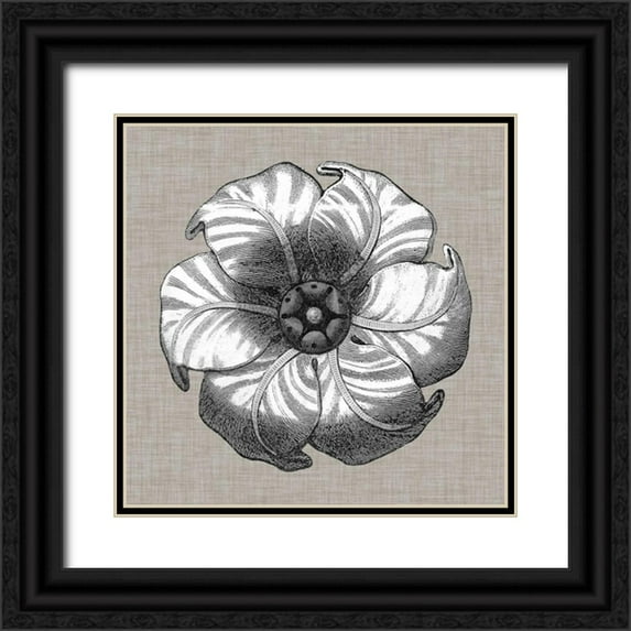 Vision Studio 15x15 Black Ornate Wood Framed with Double Matting Museum Art Print Titled - Neutral Rosette Detail III