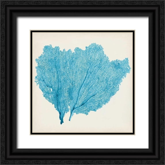 Vision Studio 15x15 Black Ornate Wood Framed with Double Matting Museum Art Print Titled - Sea Fan IV