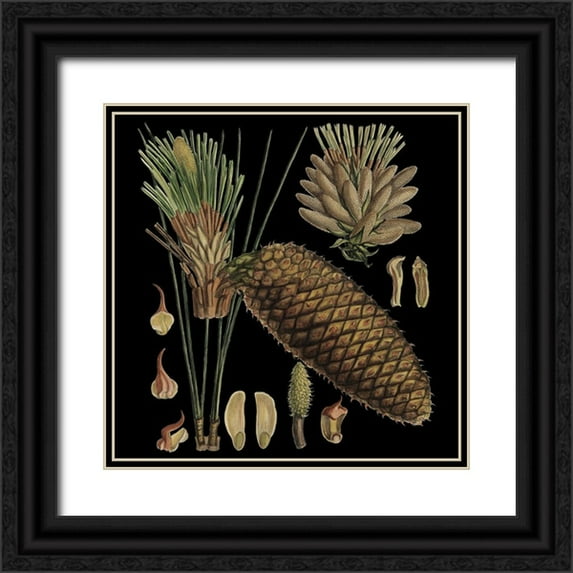 Vision Studio 15x15 Black Ornate Wood Framed with Double Matting Museum Art Print Titled - Dramatic Conifers VI