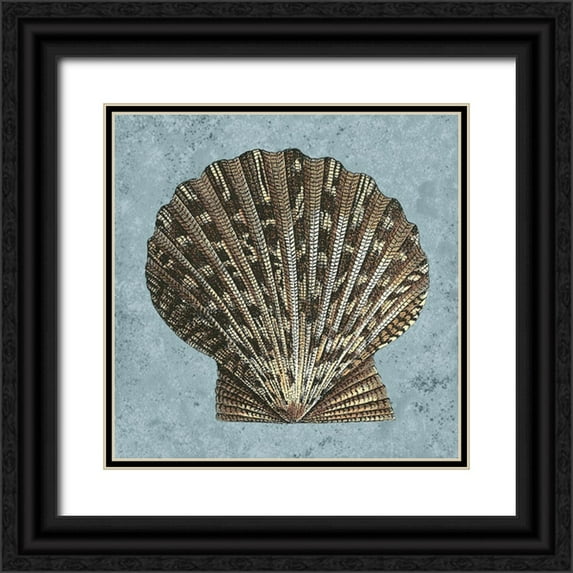 Vision Studio 15x15 Black Ornate Wood Framed with Double Matting Museum Art Print Titled - Stonewashed Shells IV