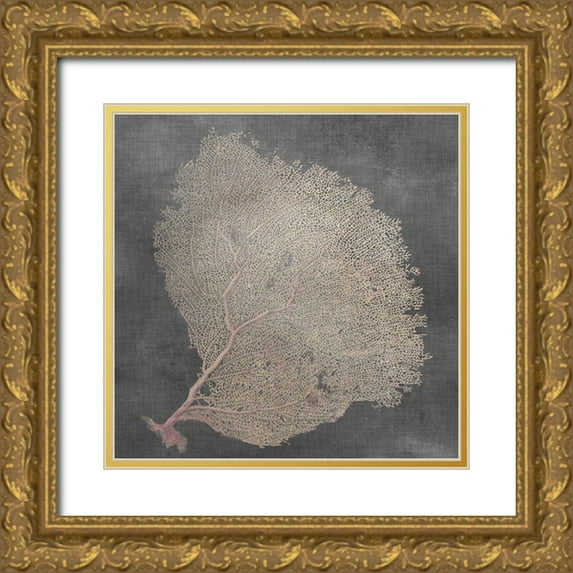 Vision Studio 15x15 Gold Ornate Wood Framed with Double Matting Museum Art Print Titled - Natural Sea Fan IX