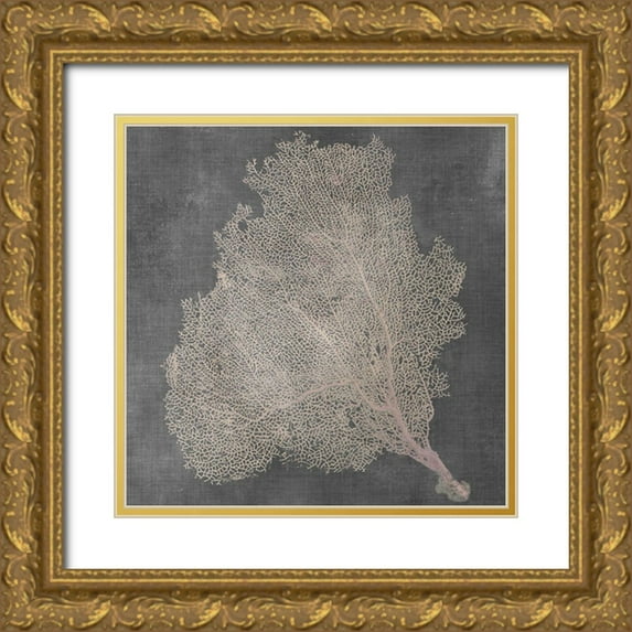 Vision Studio 15x15 Gold Ornate Wood Framed with Double Matting Museum Art Print Titled - Natural Sea Fan VII