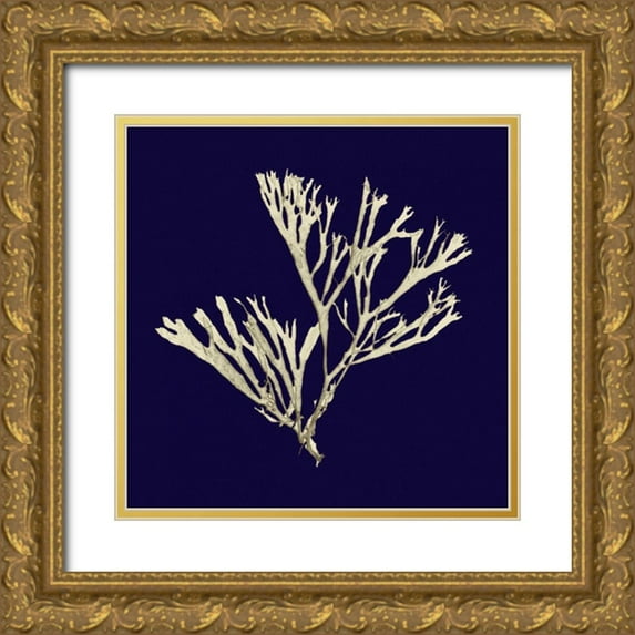 Vision Studio 15x15 Gold Ornate Wood Framed with Double Matting Museum Art Print Titled - Seaweed on Navy II