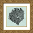 thumbnail image 1 of Vision Studio 15x15 Gold Ornate Wood Framed with Double Matting Museum Art Print Titled - Serene Coral IV, 1 of 4