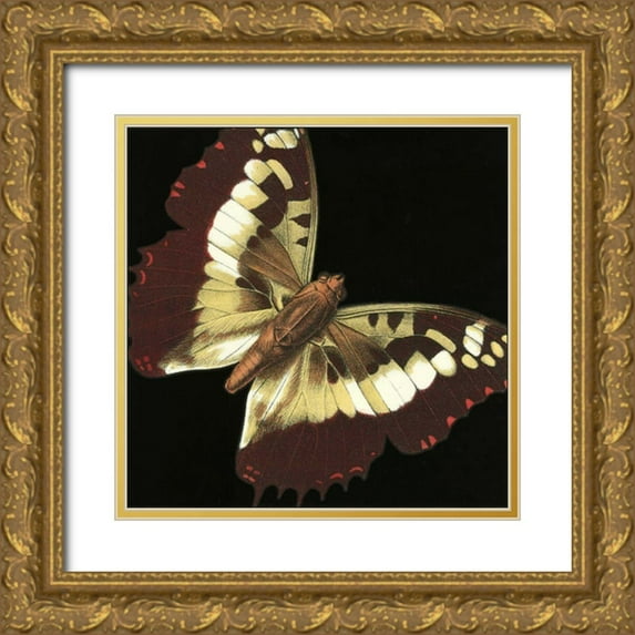 Vision Studio 15x15 Gold Ornate Wood Framed with Double Matting Museum Art Print Titled - Small Dramatic Butterflies IV