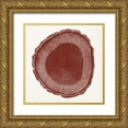 thumbnail image 1 of Vision Studio 15x15 Gold Ornate Wood Framed with Double Matting Museum Art Print Titled - Tree Ring I, 1 of 4