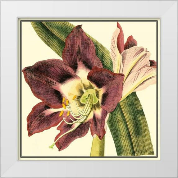Vision Studio 15x15 White Modern Wood Framed Museum Art Print Titled - Poetic Blossoms III