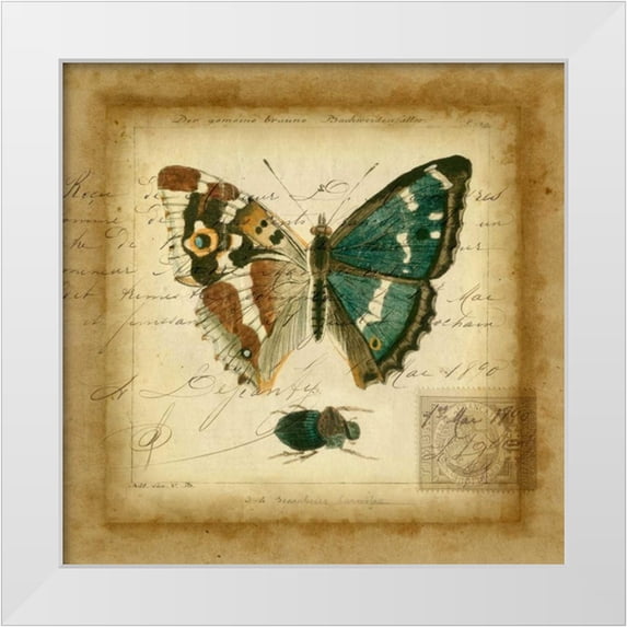 Vision Studio 15x15 White Modern Wood Framed Museum Art Print Titled - Postscript Butterfly II
