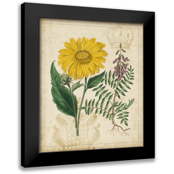 Vision Studio 15x17 Black Modern Framed Museum Art Print Titled - Botanical Repertoire III