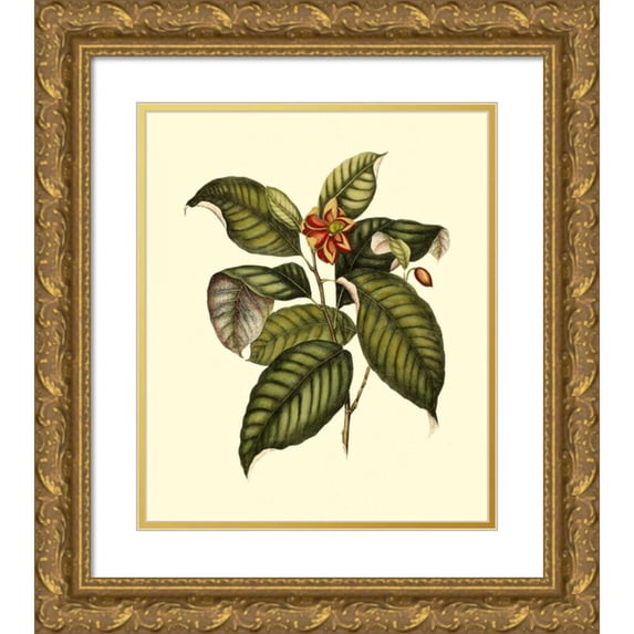 Vision Studio 15x17 Gold Ornate Wood Framed with Double Matting Museum Art Print Titled - Magnificent Foliage IV