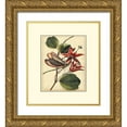 thumbnail image 1 of Vision Studio 15x17 Gold Ornate Wood Framed with Double Matting Museum Art Print Titled - Petite Dragonflies III, 1 of 4