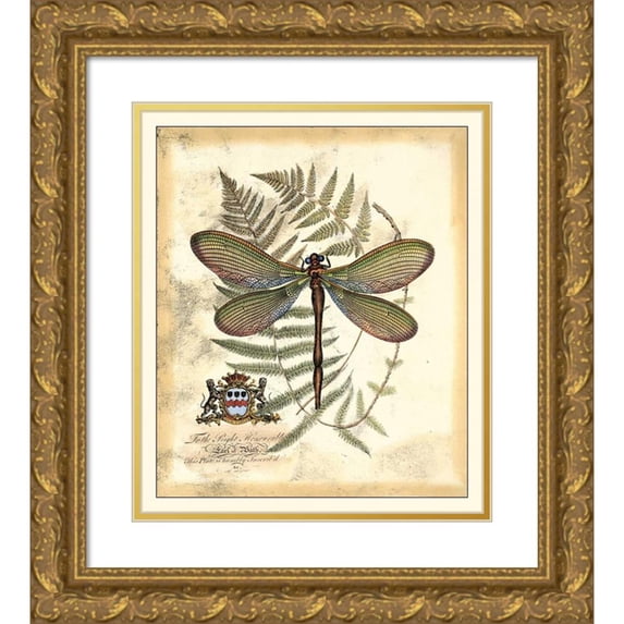 Vision Studio 15x17 Gold Ornate Wood Framed with Double Matting Museum Art Print Titled - Regal Dragonfly II