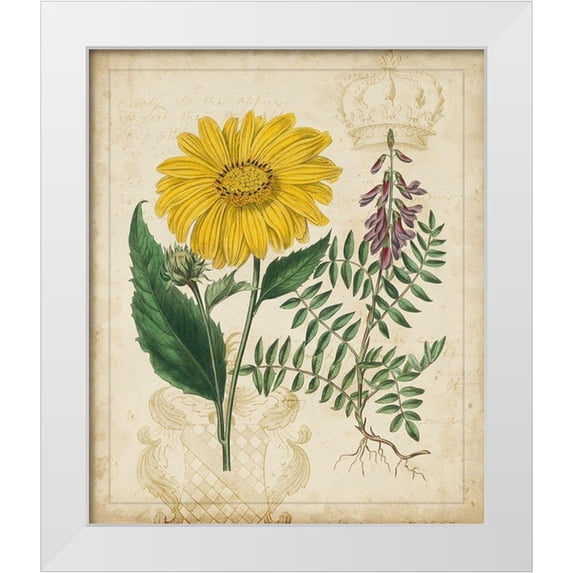 Vision Studio 15x17 White Modern Wood Framed Museum Art Print Titled - Botanical Repertoire III