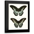 thumbnail image 1 of Vision Studio 15x18 Black Modern Framed Museum Art Print Titled - Antique Blue Butterflies II, 1 of 5