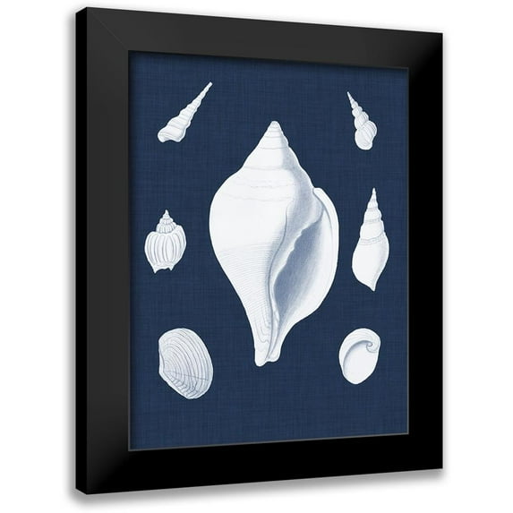Vision Studio 15x18 Black Modern Framed Museum Art Print Titled - Coquillages Blancs II