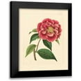 thumbnail image 1 of Vision Studio 15x18 Black Modern Framed Museum Art Print Titled - Evas Garden III, 1 of 5
