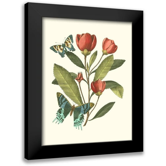 Vision Studio 15x18 Black Modern Framed Museum Art Print Titled - Midsummer Floral II