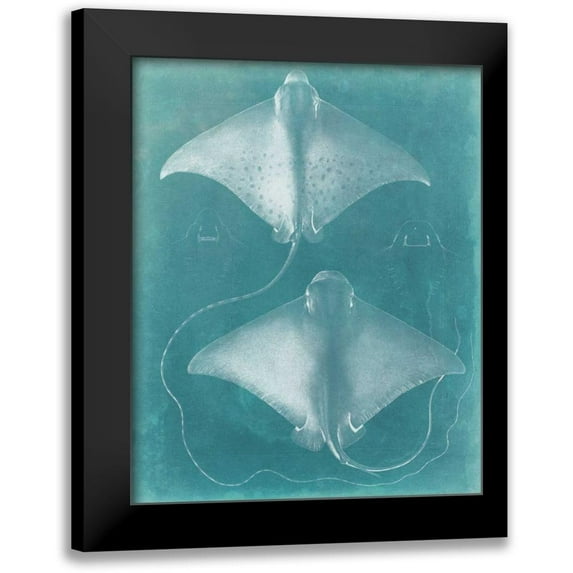 Vision Studio 15x18 Black Modern Framed Museum Art Print Titled - Morning Swim I