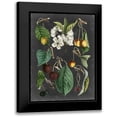 thumbnail image 1 of Vision Studio 15x18 Black Modern Framed Museum Art Print Titled - Orchard Varieties II, 1 of 5