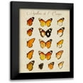 thumbnail image 1 of Vision Studio 15x18 Black Modern Framed Museum Art Print Titled - Papillons de LEurope II, 1 of 5