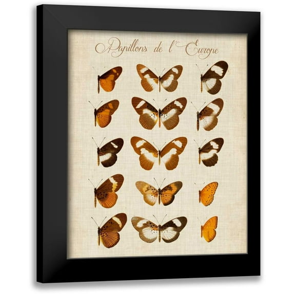 Vision Studio 15x18 Black Modern Framed Museum Art Print Titled - Papillons de LEurope IV