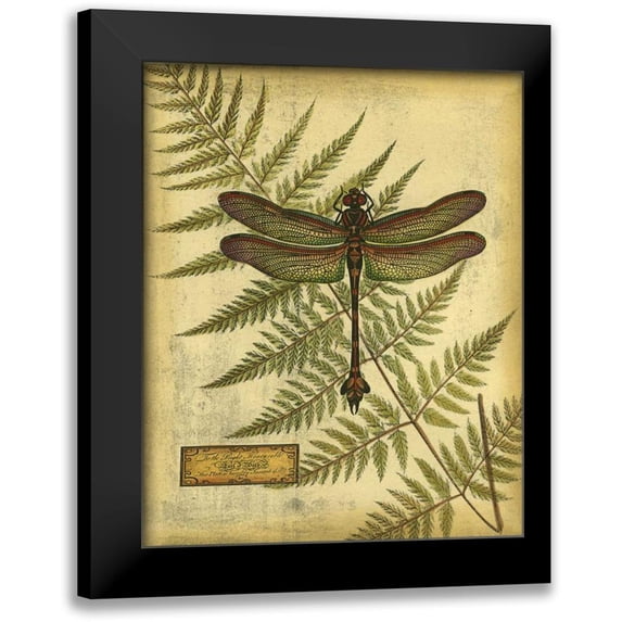 Vision Studio 15x18 Black Modern Framed Museum Art Print Titled - Royal Dragonflies III
