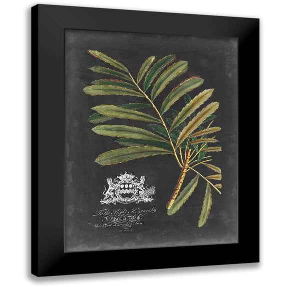 Vision Studio 15x18 Black Modern Framed Museum Art Print Titled - Royal Foliage II