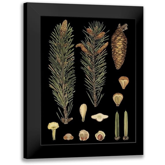 Vision Studio 15x18 Black Modern Framed Museum Art Print Titled - Small Dramatic Conifers IV
