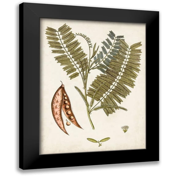 Vision Studio 15x18 Black Modern Framed Museum Art Print Titled - Vintage Charm VII