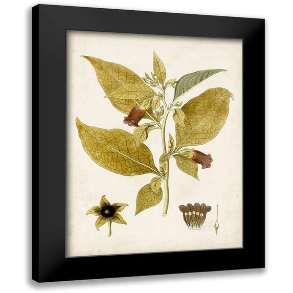 Vision Studio 15x18 Black Modern Framed Museum Art Print Titled - Vintage Charm VI