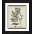 thumbnail image 1 of Vision Studio  15x18 Black Ornate Wood Framed with Double Matting Museum Art Print Titled - Antique Black and White Botanical V, 1 of 4