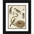 thumbnail image 1 of Vision Studio 15x18 Black Ornate Wood Framed with Double Matting Museum Art Print Titled - Avian Journal I, 1 of 4