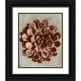thumbnail image 1 of Vision Studio 15x18 Black Ornate Wood Framed with Double Matting Museum Art Print Titled - Blossfeldt Redeux II, 1 of 4