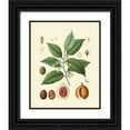 thumbnail image 1 of Vision Studio 15x18 Black Ornate Wood Framed with Double Matting Museum Art Print Titled - Botanical Glory III, 1 of 4