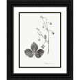 thumbnail image 1 of Vision Studio  15x18 Black Ornate Wood Framed with Double Matting Museum Art Print Titled - Botanical Imprint IV, 1 of 4