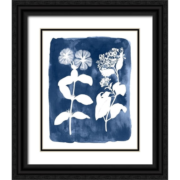 Vision Studio 15x18 Black Ornate Wood Framed with Double Matting Museum Art Print Titled - Botanical Inverse IV