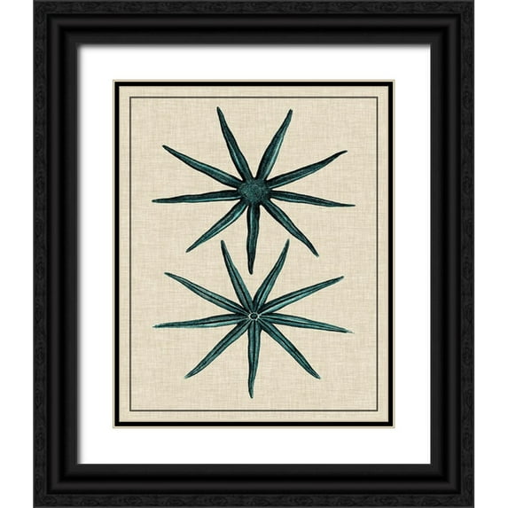 Vision Studio 15x18 Black Ornate Wood Framed with Double Matting Museum Art Print Titled - Coastal Starfish IV