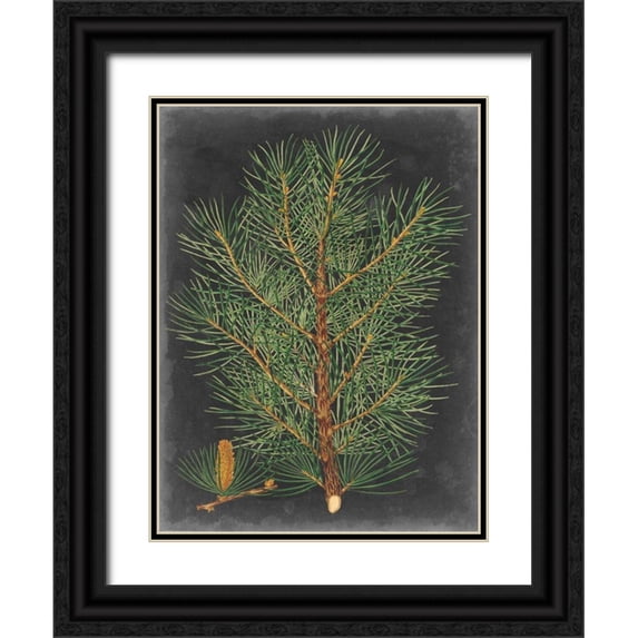 Vision Studio 15x18 Black Ornate Wood Framed with Double Matting Museum Art Print Titled - Dramatic Pine II