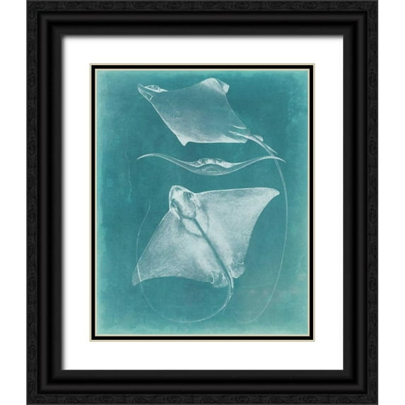 Vision Studio 15x18 Black Ornate Wood Framed with Double Matting Museum Art Print Titled - Morning Swim III