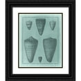 thumbnail image 1 of Vision Studio 15x18 Black Ornate Wood Framed with Double Matting Museum Art Print Titled - Spa Shell Collection I, 1 of 4
