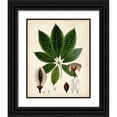 thumbnail image 1 of Vision Studio 15x18 Black Ornate Wood Framed with Double Matting Museum Art Print Titled - Verdant Foliage VII, 1 of 4
