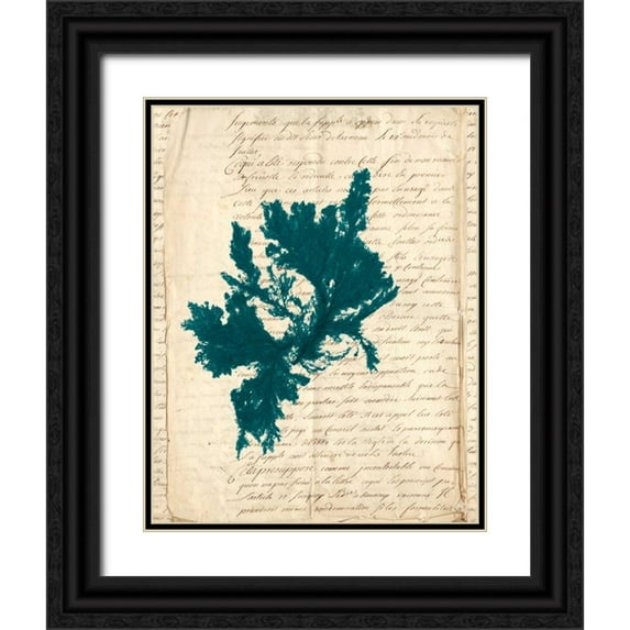 Vision Studio 15x18 Black Ornate Wood Framed with Double Matting Museum Art Print Titled - Vintage Teal Seaweed IV