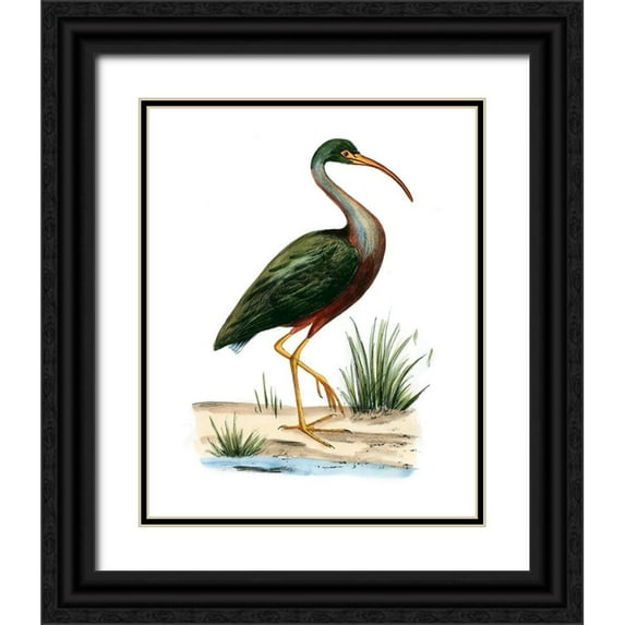 Vision Studio 15x18 Black Ornate Wood Framed with Double Matting Museum Art Print Titled - Water Birds I