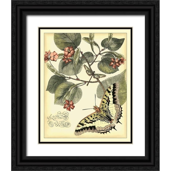 Vision Studio 15x18 Black Ornate Wood Framed with Double Matting Museum Art Print Titled - Whimsical Butterflies I
